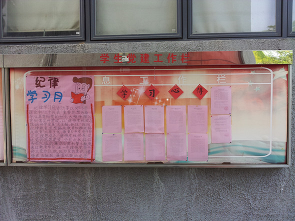 师范学院学生党支部纪律教育学习月专题宣传栏